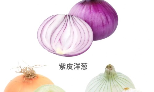 柴胡舒肝丸成分及功效-柴胡舒肝丸配归芍地黄丸的功效专区_柴胡舒肝丸颗粒功效与作用专区_柴胡舒肝丸和逍遥丸的功效哪个好网